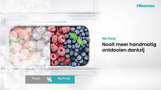 Hisense RS3P558NEFD - Amerikaanse koelkast - No-Frost - 178 cm hoog