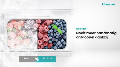 Hisense RS3P558NEFD - Amerikaanse koelkast - No-Frost - 178 cm hoog